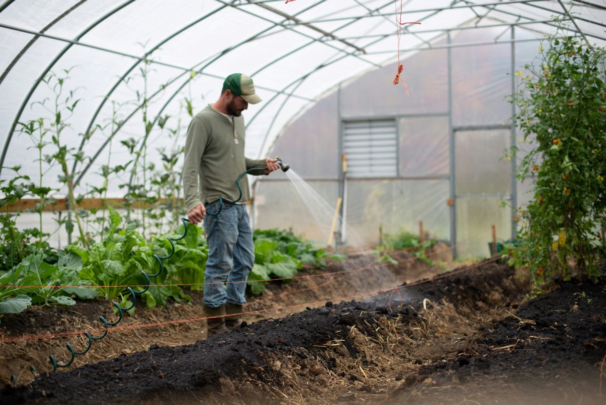 The Ultimate Guide to DIY Greenhouse